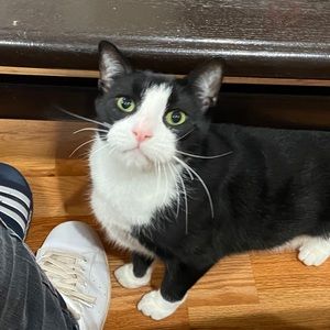 Meet your Posher, Christopher